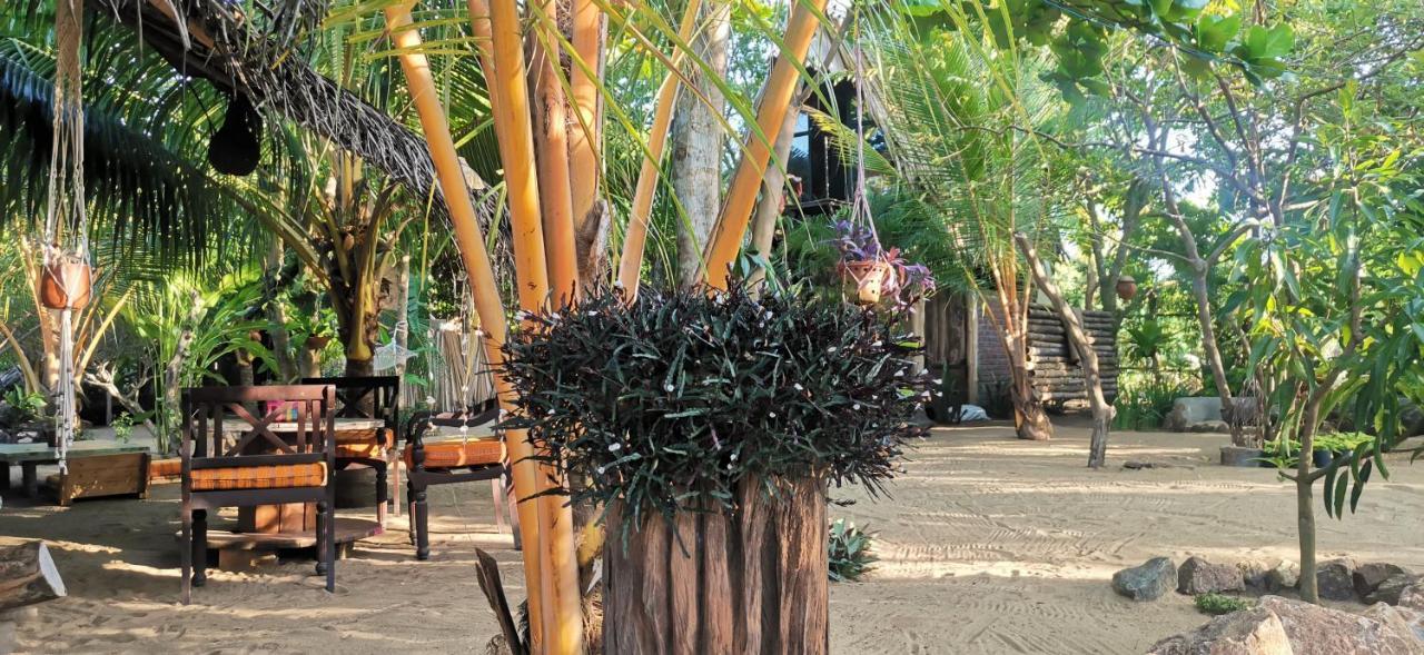 Monsoon Eco Resort - Whisky Point Arugambay Pottuvil Exterior foto