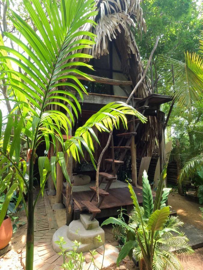 Monsoon Eco Resort - Whisky Point Arugambay Pottuvil Exterior foto