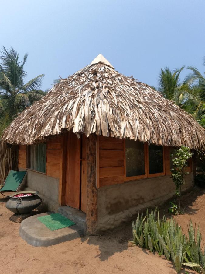 Monsoon Eco Resort - Whisky Point Arugambay Pottuvil Habitación foto
