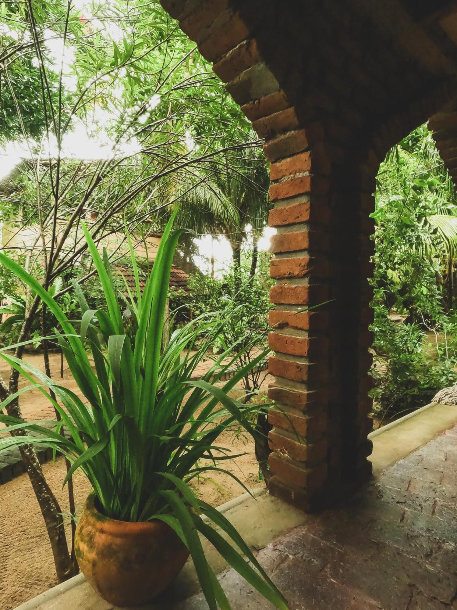 Monsoon Eco Resort - Whisky Point Arugambay Pottuvil Habitación foto